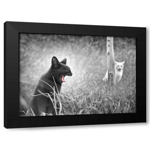 The Beauty and The Beast Black Modern Wood Framed Art Print with Double Matting by Heine, Ben