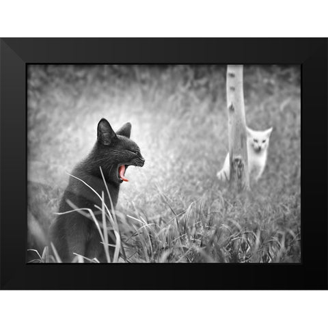 The Beauty and The Beast Black Modern Wood Framed Art Print by Heine, Ben