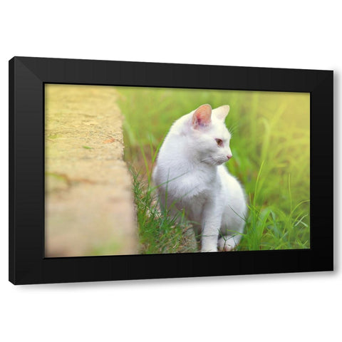 Tunisia 61 Black Modern Wood Framed Art Print with Double Matting by Heine, Ben