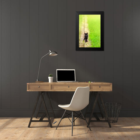 Tunisia 76 Black Modern Wood Framed Art Print by Heine, Ben