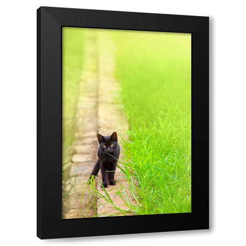 Tunisia 76 Black Modern Wood Framed Art Print by Heine, Ben