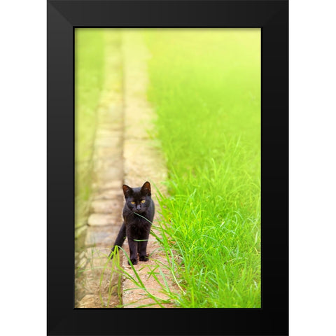 Tunisia 76 Black Modern Wood Framed Art Print by Heine, Ben