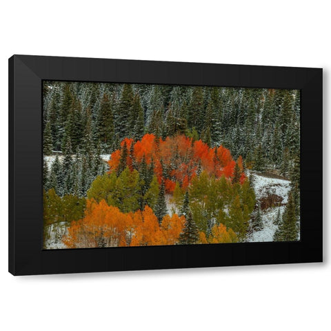 A Circle Of Color Black Modern Wood Framed Art Print with Double Matting by Sherrell, Bill