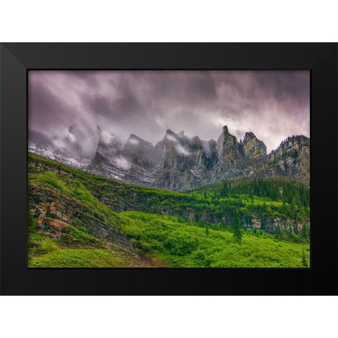 A Majestic Presence Black Modern Wood Framed Art Print by Sherrell, Bill
