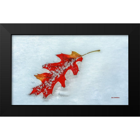 A Moment Together Black Modern Wood Framed Art Print by Sherrell, Bill
