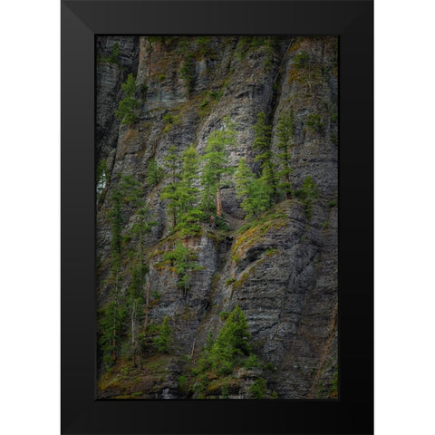 A Place To Grow Black Modern Wood Framed Art Print by Sherrell, Bill