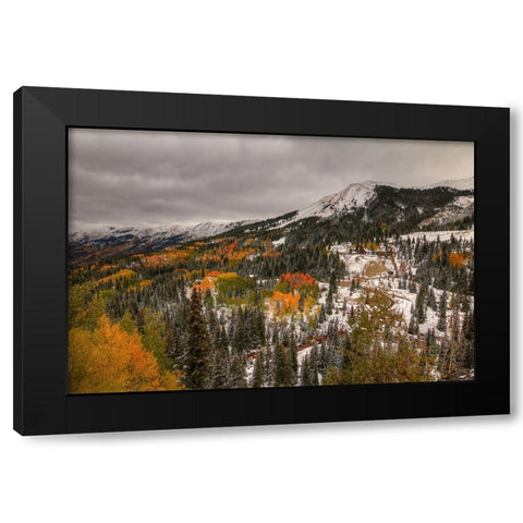 A Splash Of Color Black Modern Wood Framed Art Print by Sherrell, Bill