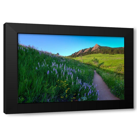 A Walk On The Wild Side Black Modern Wood Framed Art Print with Double Matting by Sherrell, Bill