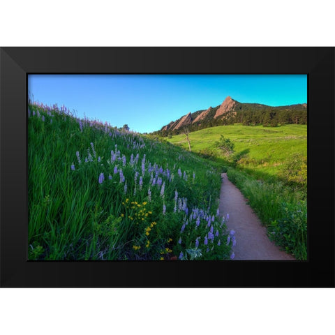 A Walk On The Wild Side Black Modern Wood Framed Art Print by Sherrell, Bill