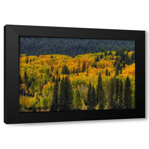 Autumn Flames Black Modern Wood Framed Art Print by Sherrell, Bill