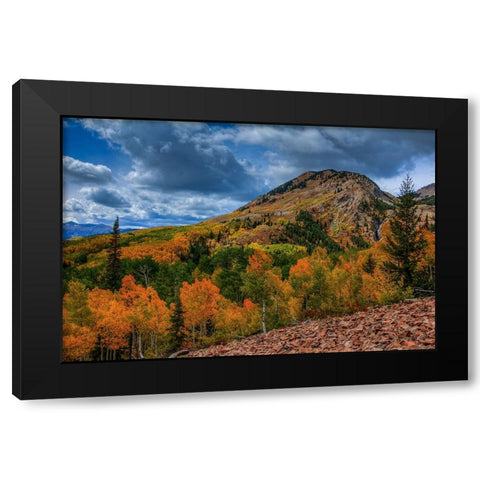 Autumn Foothill Black Modern Wood Framed Art Print by Sherrell, Bill
