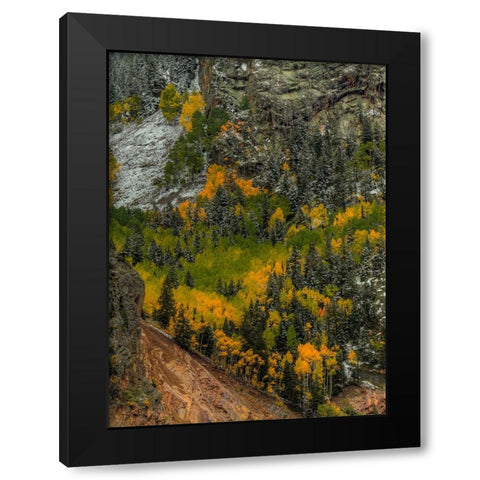 Autumn Grace Black Modern Wood Framed Art Print by Sherrell, Bill
