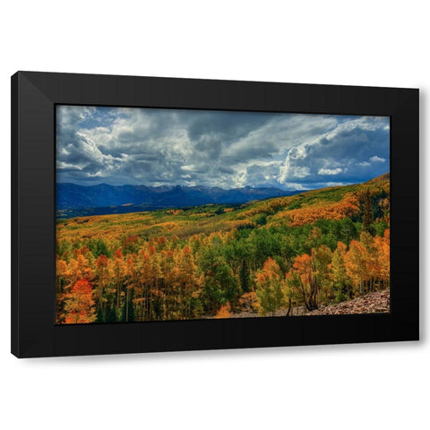 Autumn Illumination Black Modern Wood Framed Art Print by Sherrell, Bill