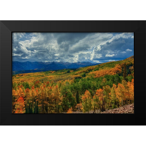 Autumn Illumination Black Modern Wood Framed Art Print by Sherrell, Bill