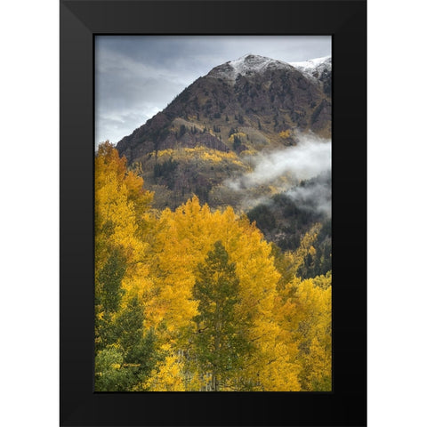 Autumn Moods Black Modern Wood Framed Art Print by Sherrell, Bill