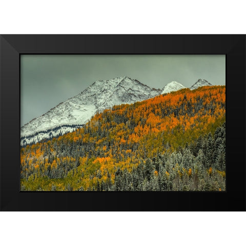 Autumn Mountain Black Modern Wood Framed Art Print by Sherrell, Bill