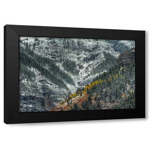 Autumn Slice And Majestic Delineation Black Modern Wood Framed Art Print by Sherrell, Bill