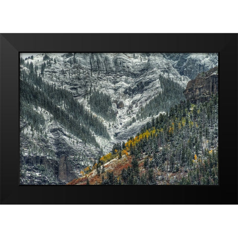 Autumn Slice And Majestic Delineation Black Modern Wood Framed Art Print by Sherrell, Bill