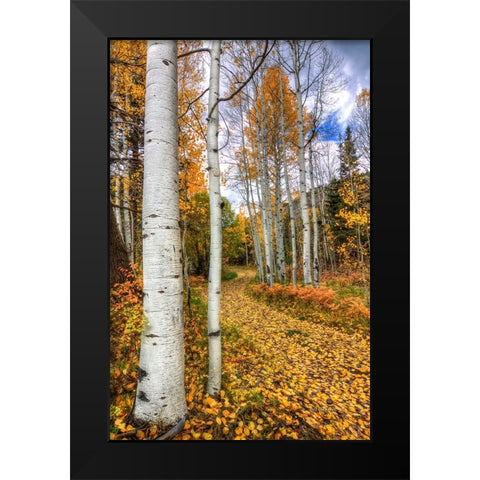 Autumn Stroll Black Modern Wood Framed Art Print by Sherrell, Bill