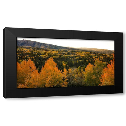 Autumn Sunrise Black Modern Wood Framed Art Print with Double Matting by Sherrell, Bill