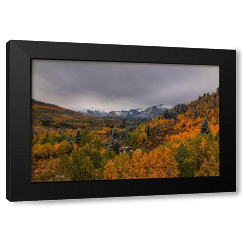 Autumn Wonderland Black Modern Wood Framed Art Print by Sherrell, Bill