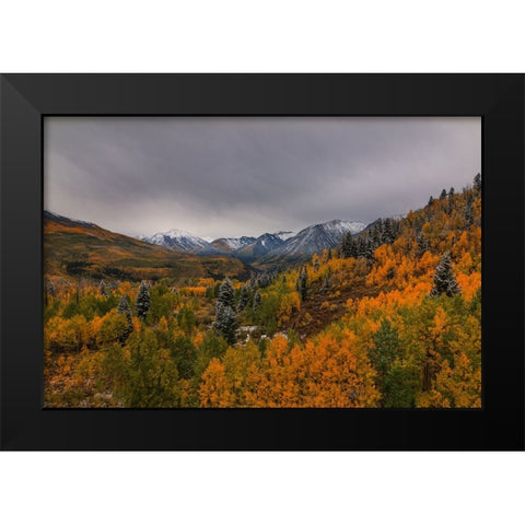 Autumn Wonderland Black Modern Wood Framed Art Print by Sherrell, Bill