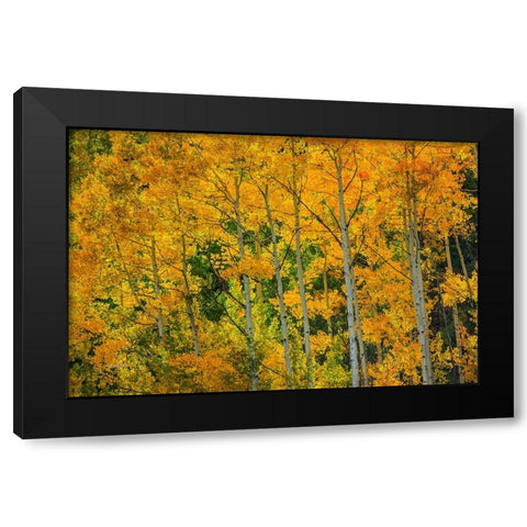 Backlit Embrace Black Modern Wood Framed Art Print by Sherrell, Bill