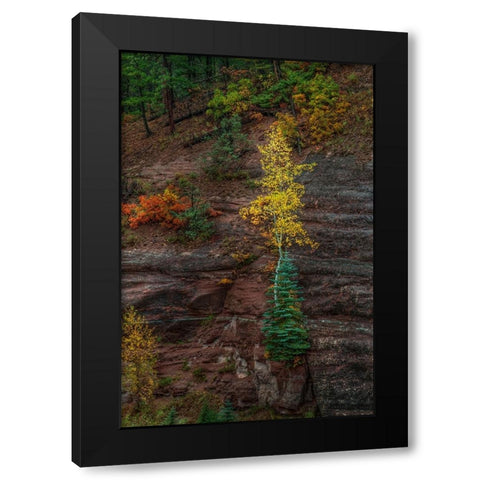 Beautiful Tenacity Black Modern Wood Framed Art Print by Sherrell, Bill