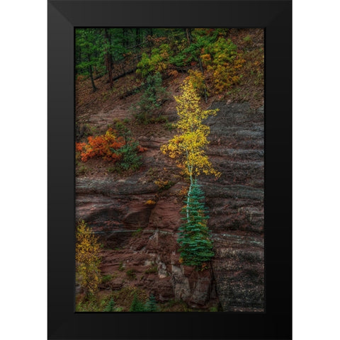 Beautiful Tenacity Black Modern Wood Framed Art Print by Sherrell, Bill