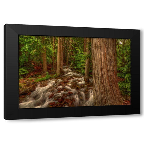 Brook Black Modern Wood Framed Art Print by Sherrell, Bill