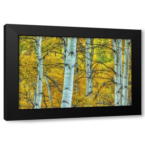 Chaotic Beauty Black Modern Wood Framed Art Print by Sherrell, Bill