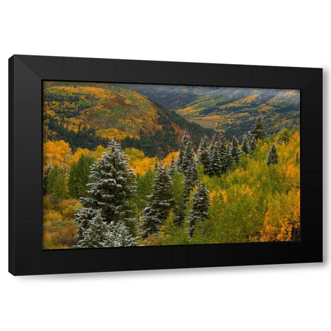 Christmas Tree Autumn Black Modern Wood Framed Art Print by Sherrell, Bill