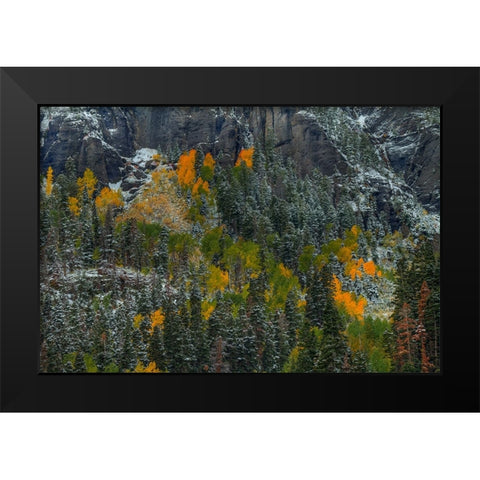 Color Splash Black Modern Wood Framed Art Print by Sherrell, Bill