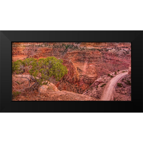 Desert Contrast Black Modern Wood Framed Art Print by Sherrell, Bill