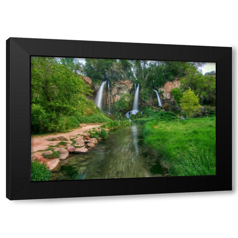 Eden Black Modern Wood Framed Art Print by Sherrell, Bill