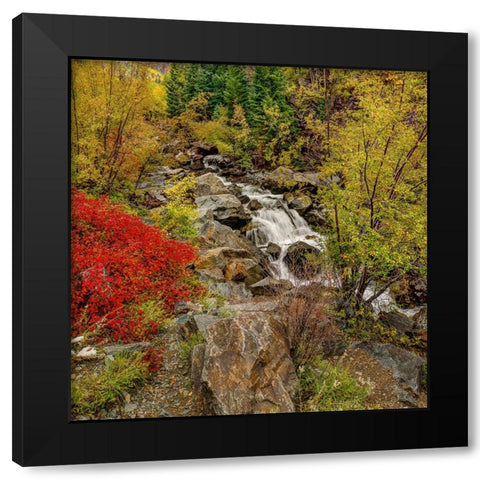 Fall River Black Modern Wood Framed Art Print with Double Matting by Sherrell, Bill