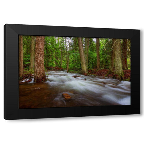 Flow Black Modern Wood Framed Art Print with Double Matting by Sherrell, Bill