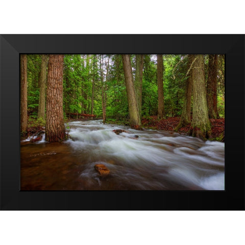 Flow Black Modern Wood Framed Art Print by Sherrell, Bill