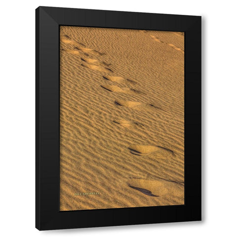 Footprints In The Sand Black Modern Wood Framed Art Print with Double Matting by Sherrell, Bill