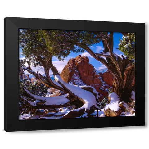 Framed By Nature Black Modern Wood Framed Art Print by Sherrell, Bill