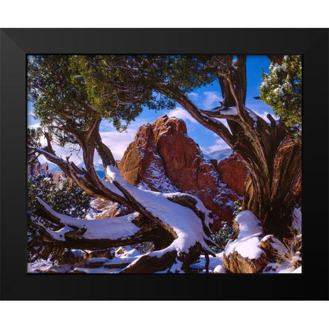 Framed By Nature Black Modern Wood Framed Art Print by Sherrell, Bill