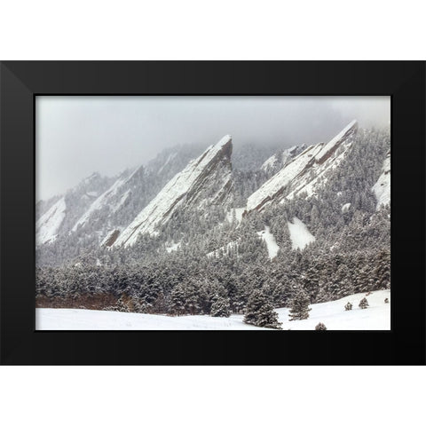 Frozen Rapture Black Modern Wood Framed Art Print by Sherrell, Bill