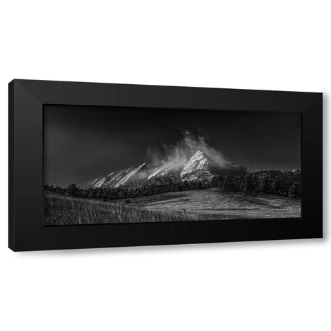 Frozen Whimsey-Black And White Black Modern Wood Framed Art Print by Sherrell, Bill