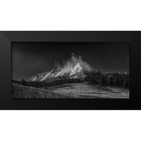 Frozen Whimsey-Black And White Black Modern Wood Framed Art Print by Sherrell, Bill