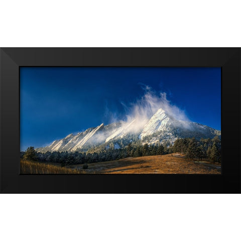 Frozen Whimsy Black Modern Wood Framed Art Print by Sherrell, Bill
