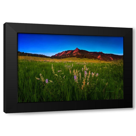 Glowing Flatirons And Wildflowers Black Modern Wood Framed Art Print by Sherrell, Bill