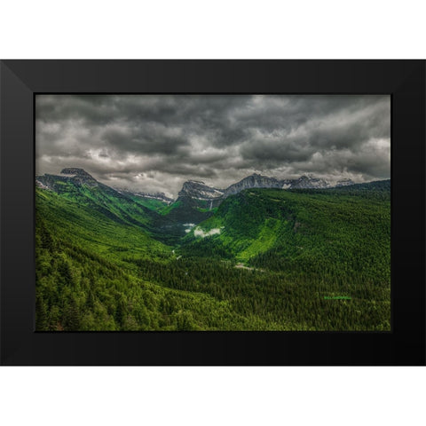 Going Green Black Modern Wood Framed Art Print by Sherrell, Bill