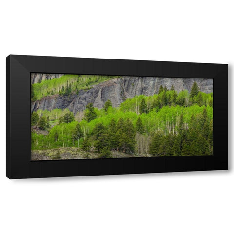 Green Dream Black Modern Wood Framed Art Print with Double Matting by Sherrell, Bill