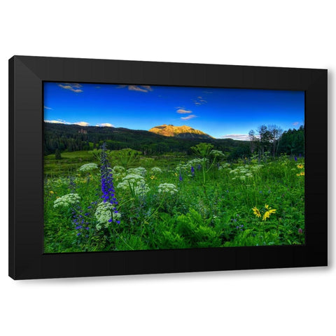 Light Whispers And Wildflowers Black Modern Wood Framed Art Print by Sherrell, Bill