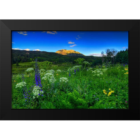 Light Whispers And Wildflowers Black Modern Wood Framed Art Print by Sherrell, Bill